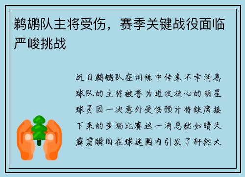 鹈鹕队主将受伤，赛季关键战役面临严峻挑战